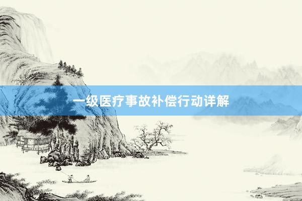 一级医疗事故补偿行动详解