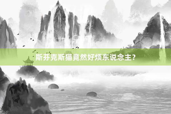 斯芬克斯猫竟然好烦东说念主？